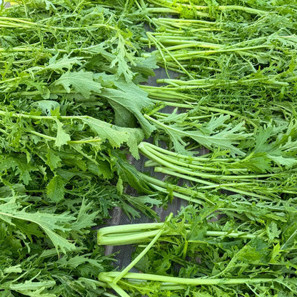 🌿SNOW MUSTARD SEEDS