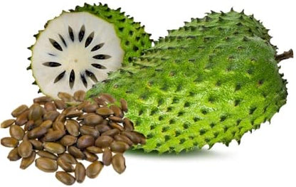 💥🌸 Organic Soursop (Graviola) Seeds – Non-GMO Heirloom Tropical Fruit seeds