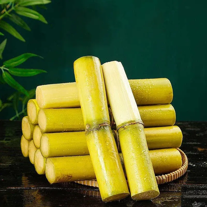 🌱 High-Yield Sugarcane Seeds - Easy to Survive & Grow. Perfect for Home Fruit Planting
