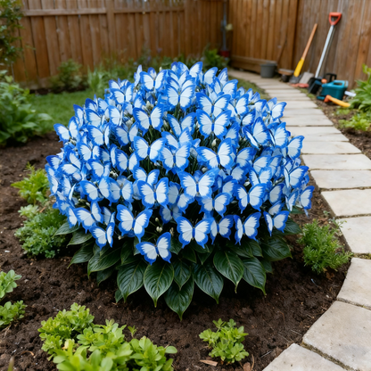 ✨Easy-to-Grow Seeds — Butterfly Blooms for a Living Garden