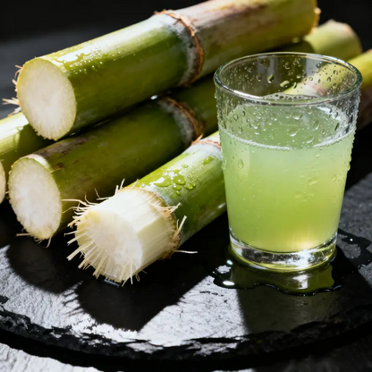 🌱 High-Yield Sugarcane Seeds - Easy to Survive & Grow. Perfect for Home Fruit Planting