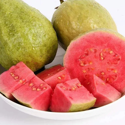 🔥 New Harvest Organic Pink Guava Seeds | Grow Your Own Tropical Fruit Tree At Home