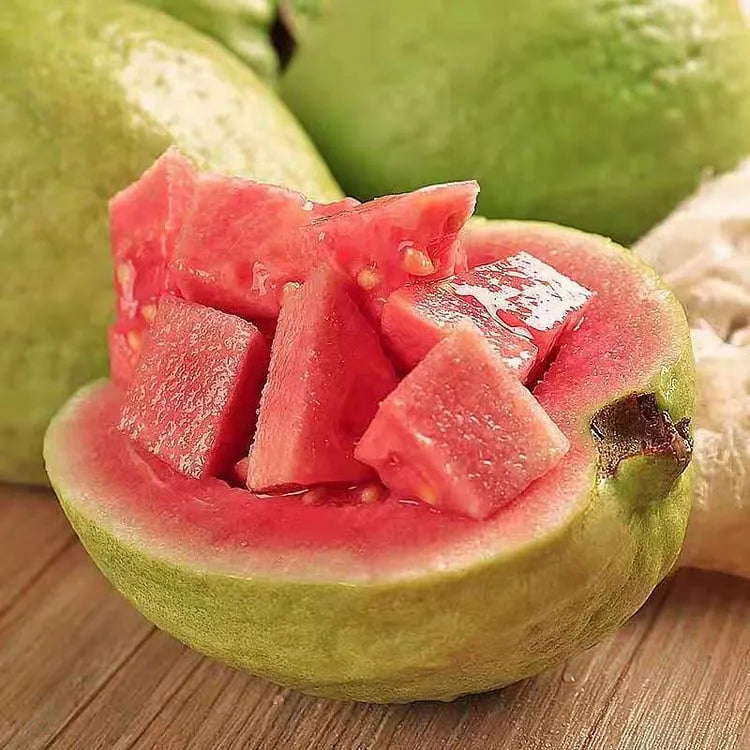 🔥 New Harvest Organic Pink Guava Seeds | Grow Your Own Tropical Fruit Tree At Home