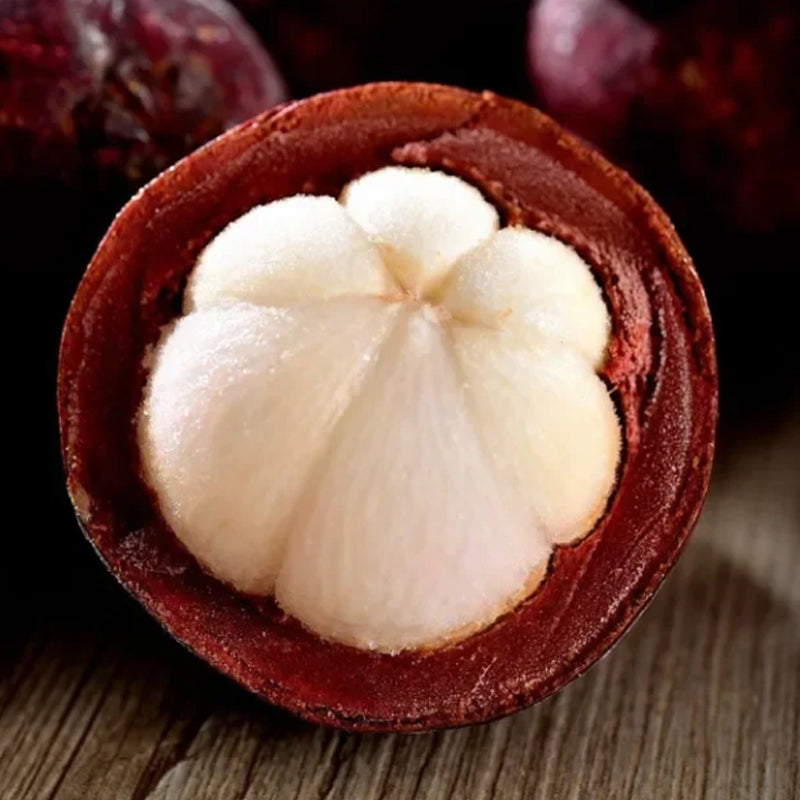 🍈MANGOSTEEN SEEDS