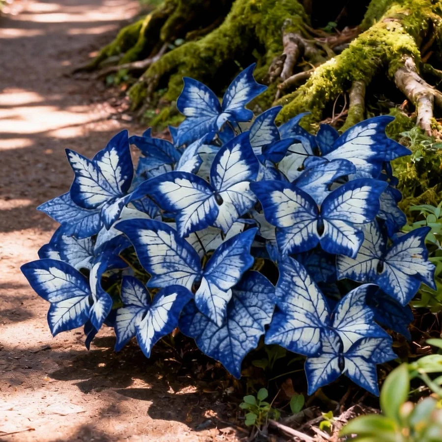 ✨Easy-to-Grow Seeds — Butterfly Blooms for a Living Garden