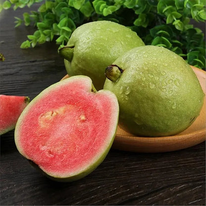 🔥 New Harvest Organic Pink Guava Seeds | Grow Your Own Tropical Fruit Tree At Home