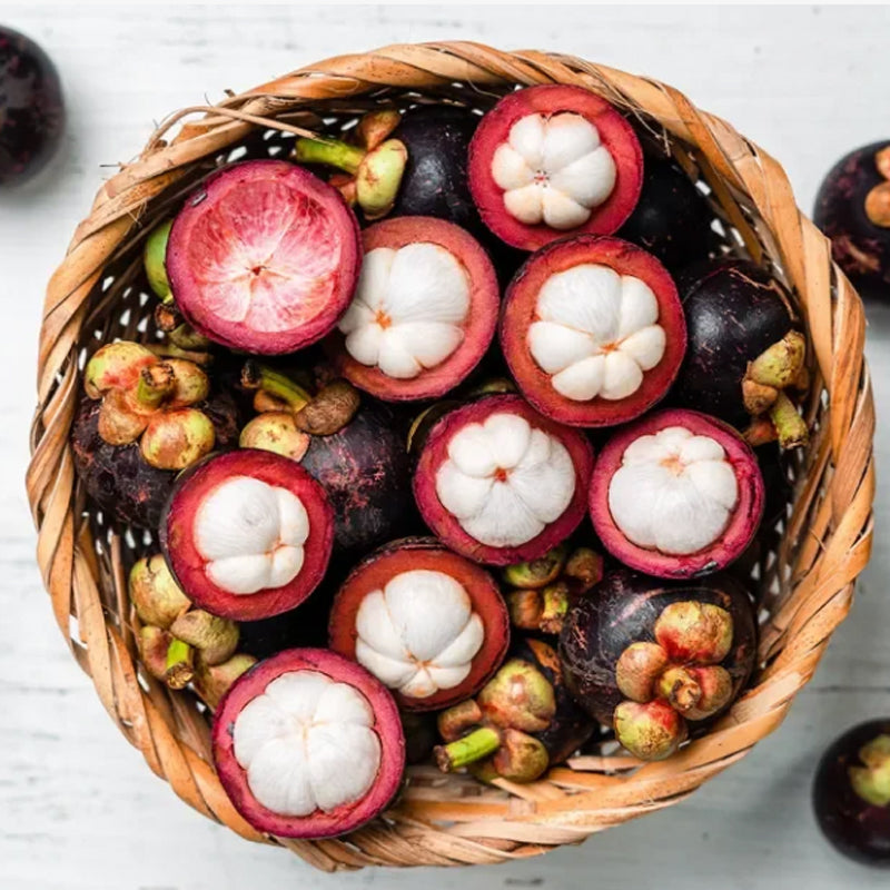 🍈MANGOSTEEN SEEDS