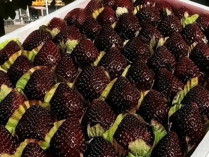 Giant Black Diamond Strawberries Seeds – Sweet. Nutrient-Rich & Easy to Grow at Home-W18