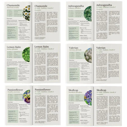 Illustrated Guide to 150 Herbal Plants — view 5