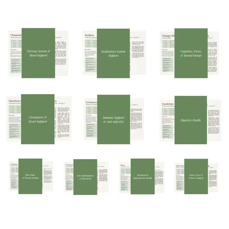 Illustrated Guide to 150 Herbal Plants — view 6