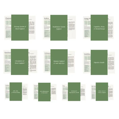 Illustrated Guide to 150 Herbal Plants — view 6